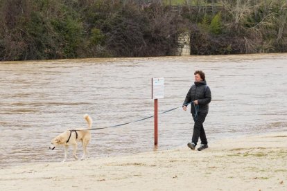 Crecida del río Pisuerga a su paso por Valladolid