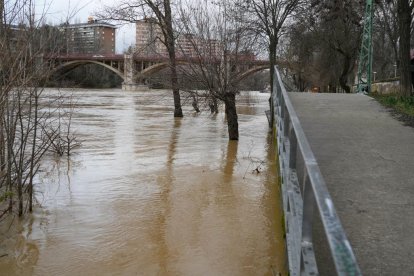 Crecida del río Pisuerga a su paso por Valladolid