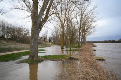 Crecida del Duero a su paso por San Miguel del Pino y Tordesillas