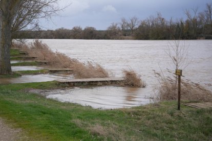 Crecida del Duero a su paso por San Miguel del Pino y Tordesillas