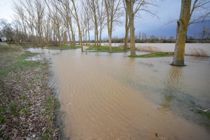 Crecida del Duero a su paso por San Miguel del Pino y Tordesillas