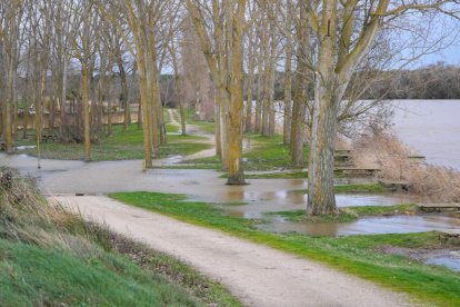 Crecida del Duero a su paso por San Miguel del Pino y Tordesillas