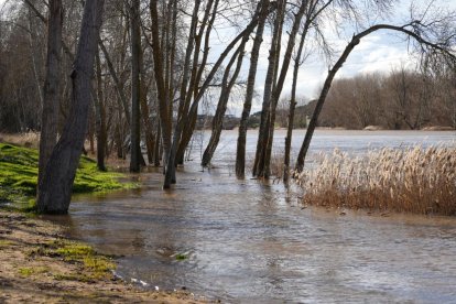 Crecida del Duero a su paso por San Miguel del Pino y Tordesillas