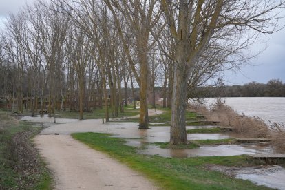 Crecida del Duero a su paso por San Miguel del Pino y Tordesillas