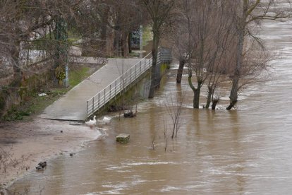 Subida del caudal del Pisuerga a su paso por las Moreras.