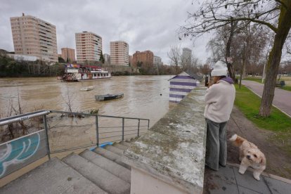 Subida del caudal del Pisuerga a su paso por las Moreras.