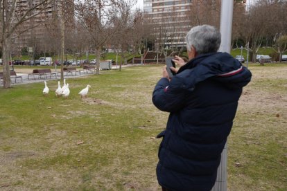 Subida del caudal del Pisuerga a su paso por las Moreras.