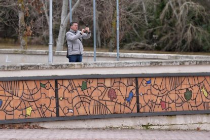 Subida del caudal del Pisuerga a su paso por las Moreras.