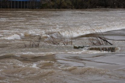 Subida del caudal del Pisuerga a su paso por las Moreras.