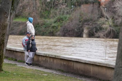 Subida del caudal del Pisuerga a su paso por las Moreras.