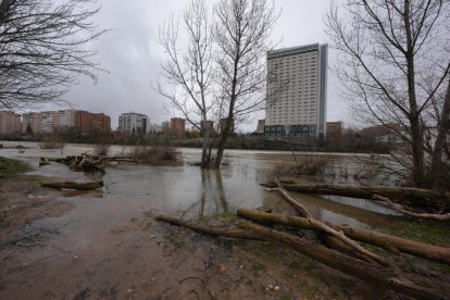 Subida del caudal del Pisuerga a su paso por las Moreras.