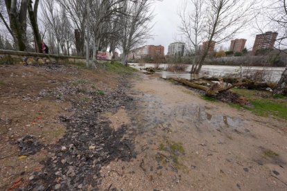 Subida del caudal del Pisuerga a su paso por las Moreras.