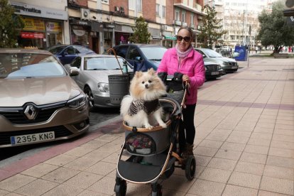La calle vallisoletana mitad centro, mitad vía