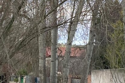 El río Duratón a su paso por Rábano.