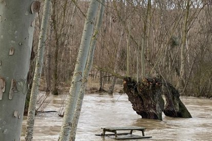 El Duratón a su paso por Rábano.