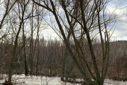 El Duratón a su paso por Rábano.