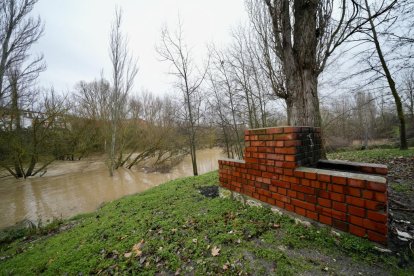 Un hombre observa el Cega a su paso por Megeces en Valladolid.