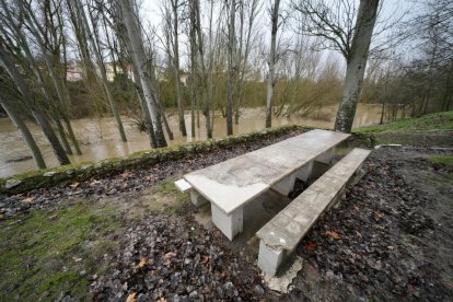 Un hombre observa el Cega a su paso por Megeces en Valladolid.