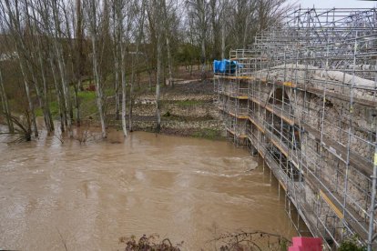Un hombre observa el Cega a su paso por Megeces en Valladolid.