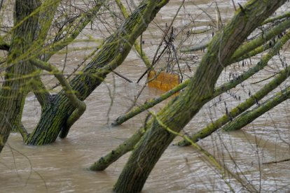 Un hombre observa el Cega a su paso por Megeces en Valladolid.