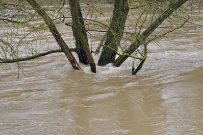 Un hombre observa el Cega a su paso por Megeces en Valladolid.