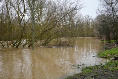 Un hombre observa el Cega a su paso por Megeces en Valladolid.