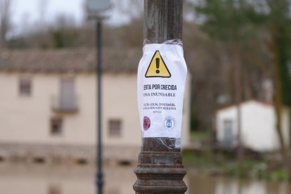 El río Duratón a su paso por Rábano y Peñafiel en Valladolid