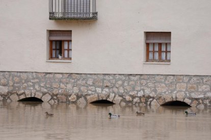 El río Duratón a su paso por Rábano y Peñafiel en Valladolid