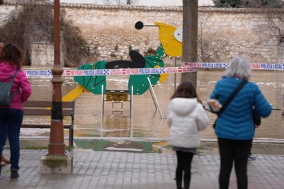 El río Duratón a su paso por Rábano y Peñafiel en Valladolid