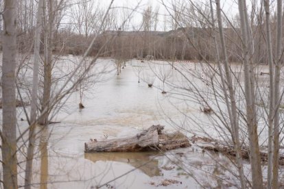 El río Duratón a su paso por Rábano y Peñafiel en Valladolid