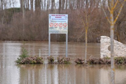El río Duratón a su paso por Rábano y Peñafiel en Valladolid