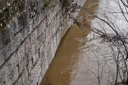 El río Cega a su paso por Mojados en Valladolid.