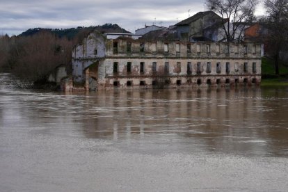 El río Cega a su paso por Mojados en Valladolid.