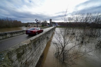 El río Cega a su paso por Mojados en Valladolid.