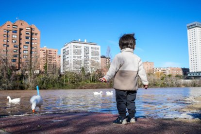 El río Pisuerga a su paso por la capital vallisoletana.