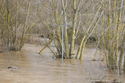 Aumento del caudal del río Pisuerga a su paso por la localidad vallisoletana de Simancas.