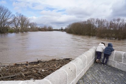 Aumento del caudal del río Pisuerga a su paso por la localidad vallisoletana de Simancas.