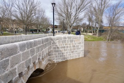 Aumento del caudal del río Pisuerga a su paso por la localidad vallisoletana de Simancas.