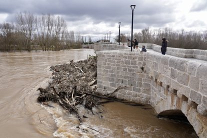 Aumento del caudal del río Pisuerga a su paso por la localidad vallisoletana de Simancas.
