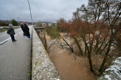 El Duero se desborda a su paso por Quintanilla de Onésimo.