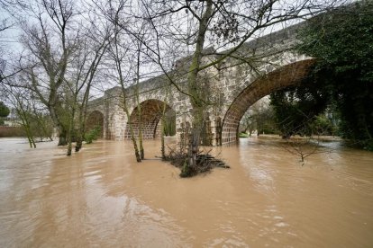 El Duero se desborda a su paso por Quintanilla de Onésimo.