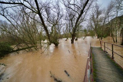 El Duero se desborda a su paso por Quintanilla de Onésimo.