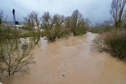 El Duero se desborda a su paso por Quintanilla de Onésimo.