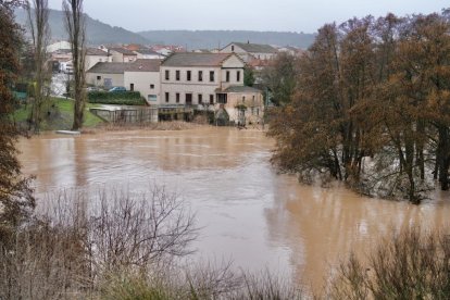 El Duero se desborda a su paso por Quintanilla de Onésimo.