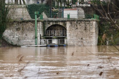 El Duero se desborda a su paso por Quintanilla de Onésimo.