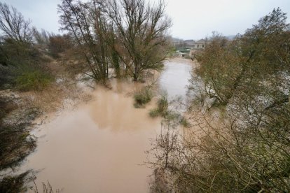 El Duero se desborda a su paso por Quintanilla de Onésimo.