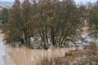 El Duero se desborda a su paso por Quintanilla de Onésimo.
