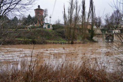 El Duero se desborda a su paso por Quintanilla de Onésimo.