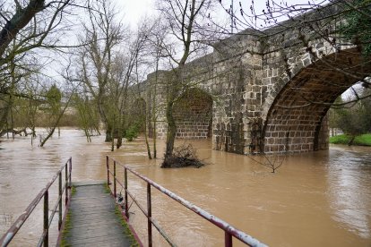 Río Duero a su paso por la localidad vallisoletana de Quintanilla de Onésimo