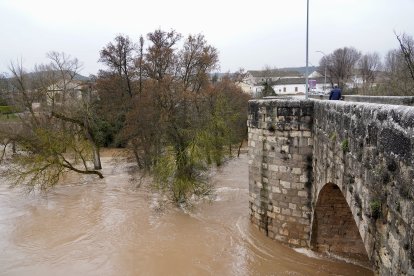 Río Duero a su paso por la localidad vallisoletana de Quintanilla de Onésimo